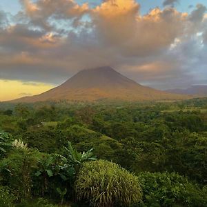 Lost Iguana Resort And Spa